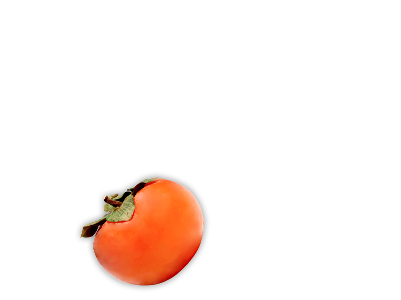 persimmon-object-3