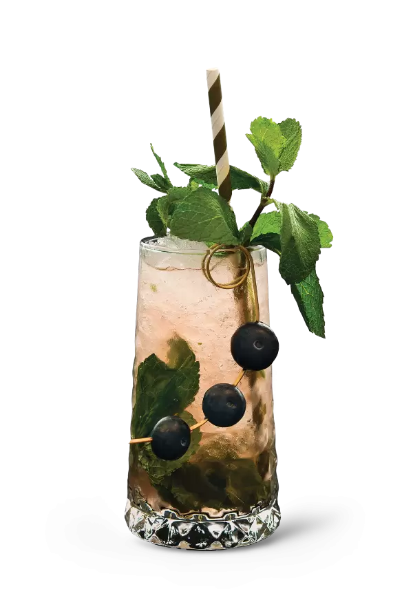 Minty Fizz