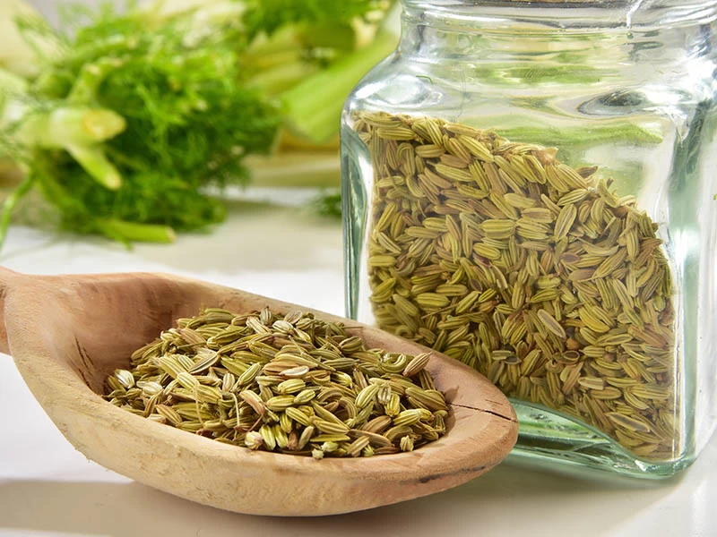 هر آنچه که درباره خواص رازیانه باید بدانید