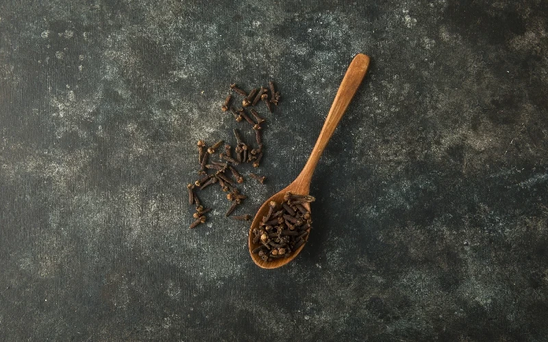 خواص و کاربردهای میخک در طب سنتی و مدرن