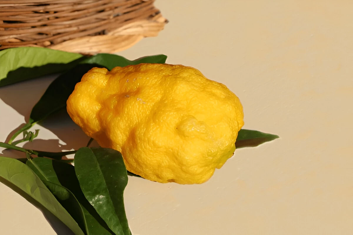 خواص میوه بالنگ